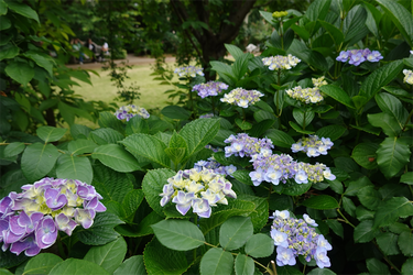DSC08142_R