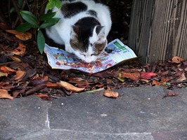 DSCF5854_R