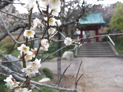 DSCF1182_R