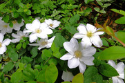 DSCF3082_R