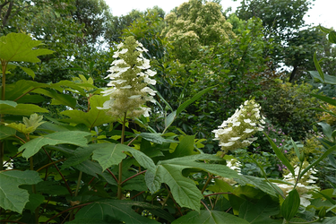 DSC08164_R