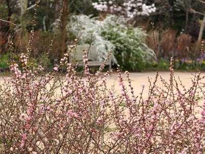 DSCF1441_R