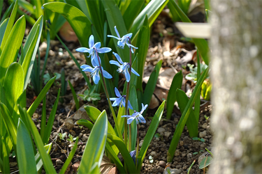 DSC05823_R