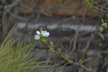 DSC05818_R