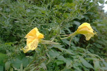 DSC09120_R
