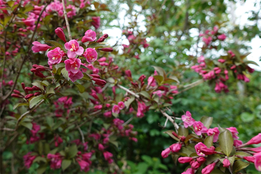 DSC06844 (1)_R