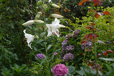 DSC08572_R