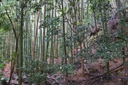 DSCF7411_R