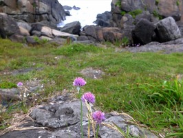 DSCF1099_R