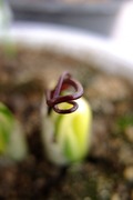 DSCF0199_R