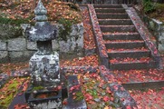 DSCF7496_R