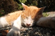 DSCF9834_R