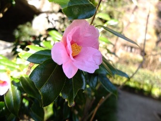 DSCF8371_R