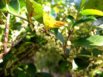 DSCF8865_R