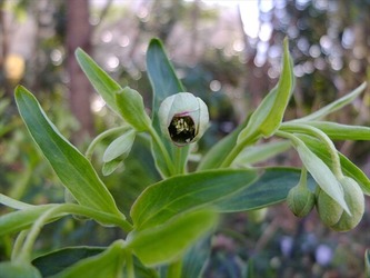 DSCF8538_R