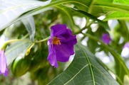 DSCF4862_R