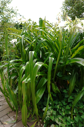 DSC08497_R