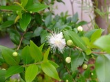 DSCF2389_R