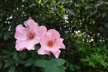 DSC07578_R