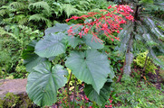 DSCF4262_R