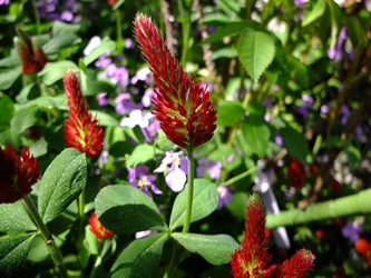 DSCF9708_R
