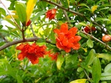 DSCF2286_R