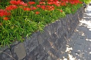 DSCF5476_R
