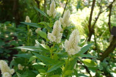 DSC08800_R