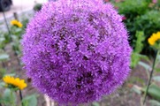 DSCF4058_R