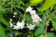 DSCF4285_R