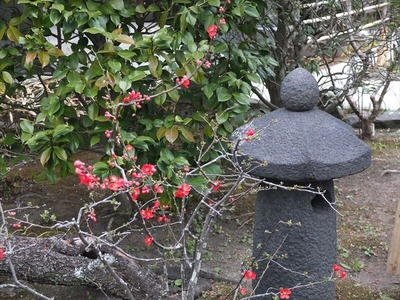 DSCF1255_R