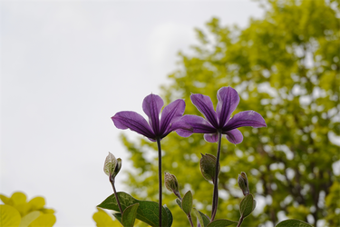 DSC07002_R
