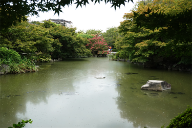 DSC09667_R