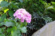 DSCF3088_R