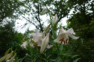 DSC08167_R
