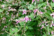 DSCF5087_R