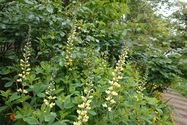 DSC06892_R