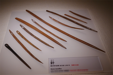 DSC02411_R