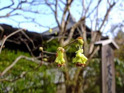 DSCF1169_R