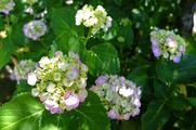 DSCF3846_R