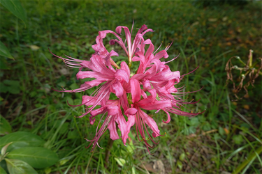 DSC09710_R