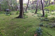 DSCF7425_R