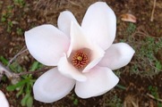 DSCF1806_R