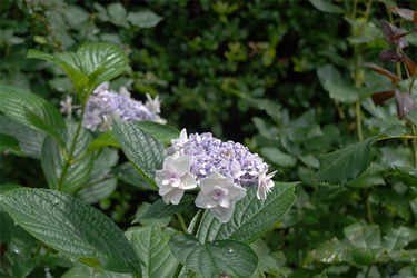 DSC08559_R