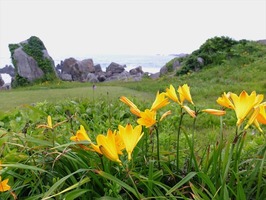 DSCF1094_R