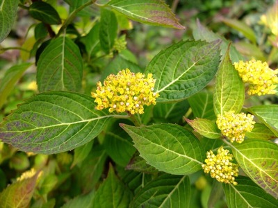 DSCF2619_R