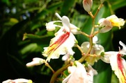 DSCF4311_R