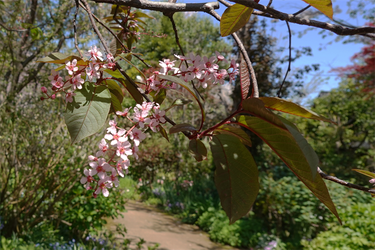 DSC06657_R