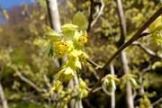 DSCF0525_R