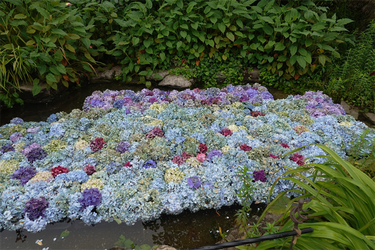 DSC08544_R